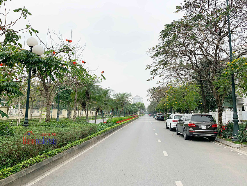 Bán Biệt Thự Khu T Ciputra, Căn Góc, Mặt Đường Đôi, Hướng Tây Nam 2